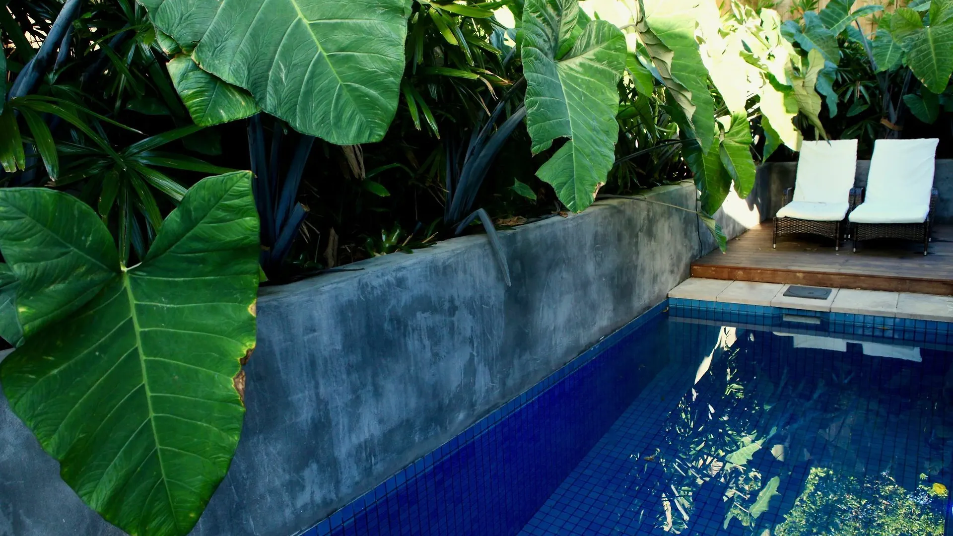 Luxury Artist Architect Retreat Villa